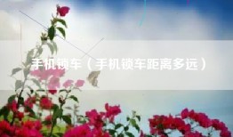 手机锁车（手机锁车距离多远）