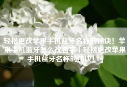 轻松更改苹果手机蓝牙名称的秘诀！苹果手机蓝牙怎么改名字「轻松更改苹果手机蓝牙名称的秘诀！」