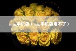 op.gg手机版（opgg手机版用不了）