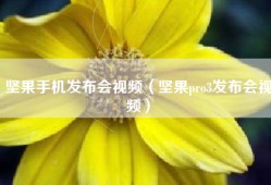 坚果手机发布会视频（坚果pro3发布会视频）