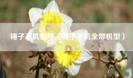 锤子手机型号（锤子手机全部机型）