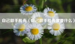 自己做手机壳（自己做手机壳需要什么）