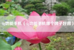 4g功能手机（4g功能手机哪个牌子好用）