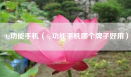 4g功能手机（4g功能手机哪个牌子好用）