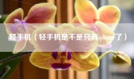 轻手机（轻手机是不是只有iphone了）