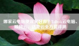 哪家云电脑便宜又好用？ToDesk云电脑、顺网云、达龙云全方位评测