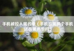 手机被拉入黑名单（手机拉黑换个手机还在黑名单吗）