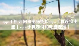 oppo手机如何和电脑连接oppo手机连接电脑「oppo手机如何和电脑连接」