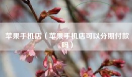 苹果手机店（苹果手机店可以分期付款吗）