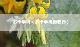 多卡手机（多卡手机接收器）