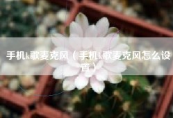 手机k歌麦克风（手机k歌麦克风怎么设置）