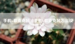 手机k歌麦克风（手机k歌麦克风怎么设置）
