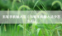 五笔手机输入法（五笔手机输入法少怎么打）