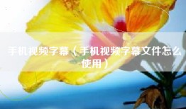 手机视频字幕（手机视频字幕文件怎么使用）