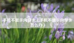 手机不显示内存卡（手机不显示内存卡怎么办）