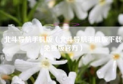 北斗导航手机版（北斗导航手机版下载免费版官方）