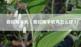 普拉斯手机（普拉斯手机壳怎么样）