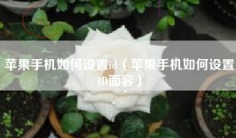 苹果手机如何设置id（苹果手机如何设置ID面容）