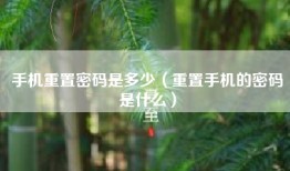 手机重置密码是多少（重置手机的密码是什么）