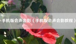 手机版会声会影（手机版会声会影教程）