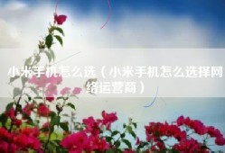小米手机怎么选（小米手机怎么选择网络运营商）
