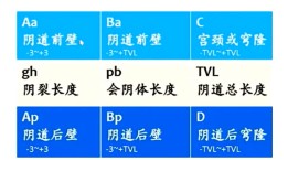 盆腔器官脱垂腹腔镜手术治疗临床思维