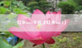 红米hm1手机（红米hm 1）