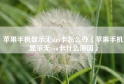 苹果手机显示无sim卡怎么办（苹果手机显示无sim卡什么原因）