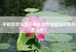手机软件加密（手机软件加密忘记密码怎么办）