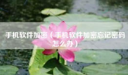 手机软件加密（手机软件加密忘记密码怎么办）