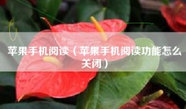 苹果手机阅读（苹果手机阅读功能怎么关闭）