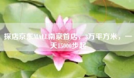 探店京东MALL南京首店，3万平方米，一天15000步起