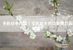 手机安全风险（手机安全风险复机怎么解除）