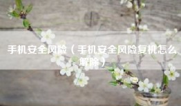 手机安全风险（手机安全风险复机怎么解除）
