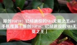 原创TOP10：已经退役的NBA无冕之王nba手机搜狐「原创TOP10：已经退役的NBA无冕之王」