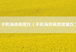 手机海拔高度仪（手机海拔高度测量仪）