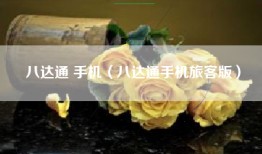 八达通 手机（八达通手机旅客版）
