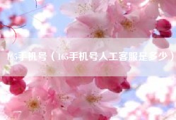 165手机号（165手机号人工客服是多少）