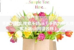 手机为什么搜索不到wifi（手机为什么搜索不到wifi网络名称）