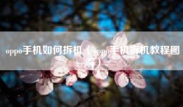 oppo手机如何拆机（oppo手机拆机教程图解）