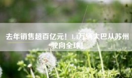 去年销售超百亿元！1.4万辆大巴从苏州驶向全球！