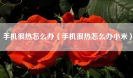 手机很热怎么办（手机很热怎么办小米）