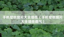 手机壁纸图片大全墙纸（手机壁纸图片大全墙纸霸气）