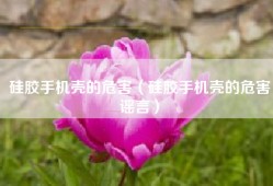 硅胶手机壳的危害（硅胶手机壳的危害谣言）