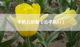 手机云旧版（云手机8.1）