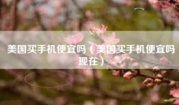 美国买手机便宜吗（美国买手机便宜吗现在）