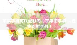 苹果手机可以越狱吗（苹果旧手机app迁移到新手机）
