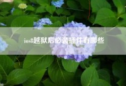 ios8越狱后必装插件有哪些