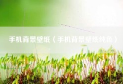 手机背景壁纸（手机背景壁纸纯色）