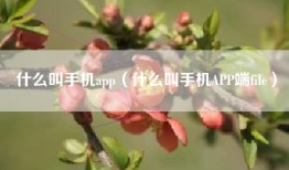 什么叫手机app（什么叫手机APP端file）